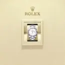 Rolex Datejust 41 White Dial Gold M126334-0009