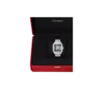 Santos de Cartier Large Skeleton/Green