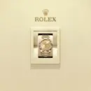 Rolex Day-Date 40 Yellow gold Ref# 228238-0005