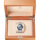 Omega Seamaster Ref# 210.30.42.20.06.001