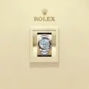 Rolex Cosmograph Daytona 116506 Series