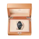 Omega Seamaster PLANET OCEAN Ref# 215.92.46.22.01.002
