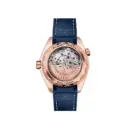 Omega Seamaster PLANET OCEAN 600M