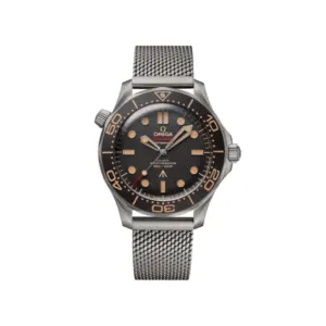 Omega Seamaster Ref# 210.90.42.20.01.001