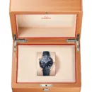 Omega Seamaster PLANET OCEAN 600M