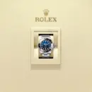 Rolex Sea-Dweller Deepsea Ref. 116660