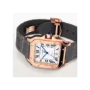 Cartier Santos de Cartier Large Automatic