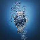 Omega Seamaster Ref# 210.30.42.20.03.001