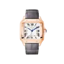 Santos de Cartier Medium Automatic Gold Watch