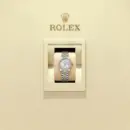 Rolex Lady-Datejust 28 Reference 279383RBR-0019