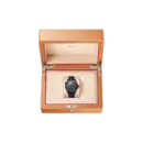 Omega Seamaster DIVER Ref# 210.92.44.20.01.003